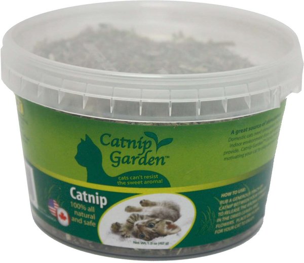 Multipet Catnip Garden Catnip Tub, 1.5-oz tub slide 1 of 1