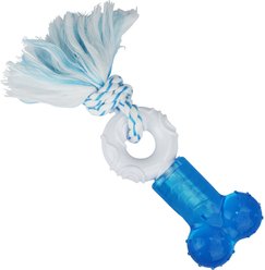 Multipet Canine Clean Mint Bone Rope Tough Dog Chew Toy, Blue
