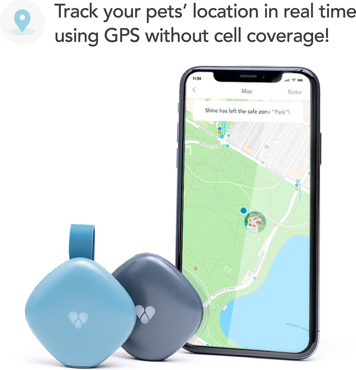 Findster duo+ gps pet hot sale tracker