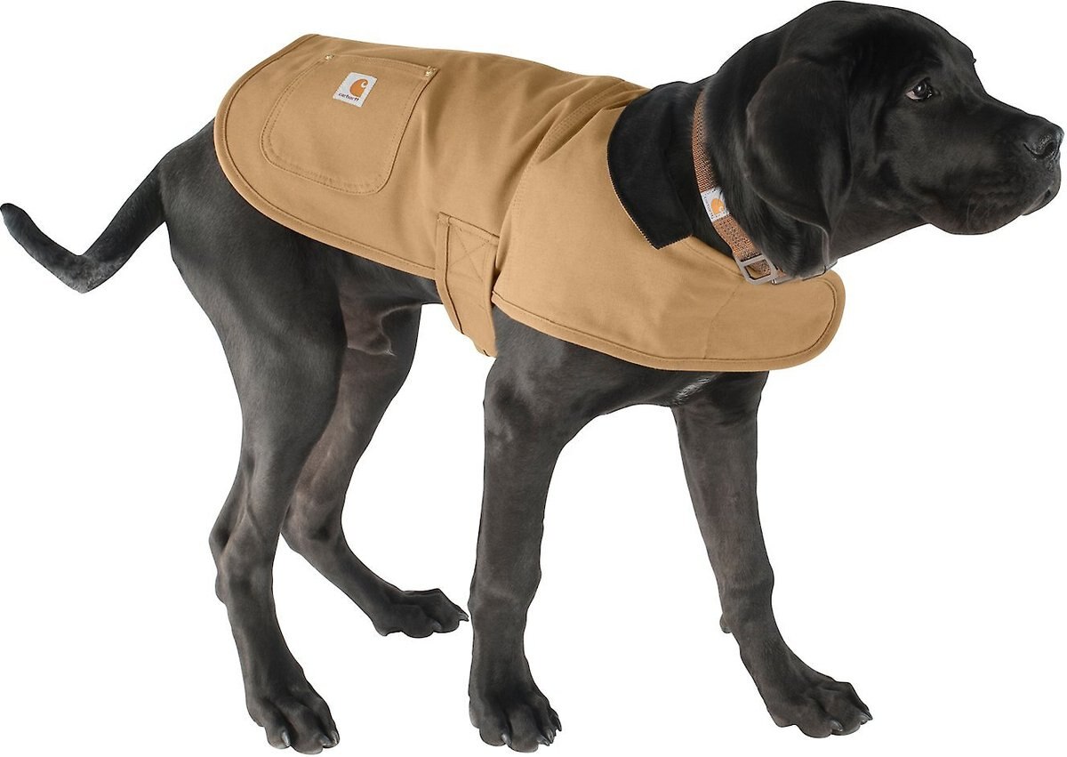 CARHARTT Chore Insulated Dog Coat, Brown, Small