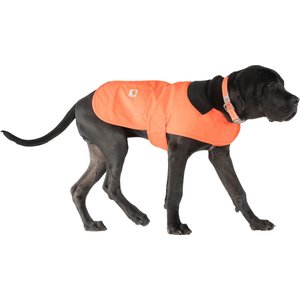 carhartt blaze orange dog coat