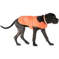 Carhartt Chore Insulated Dog Coat, Hunter Orange, Large