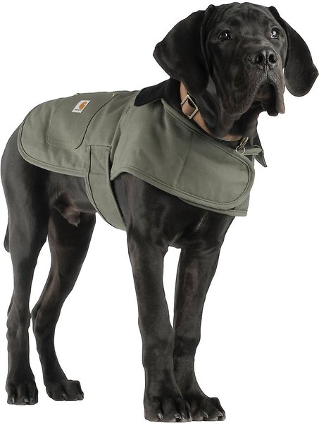 Carhartt Chore Insulated Dog Coat, Army Green, Medium slide 1 of 9