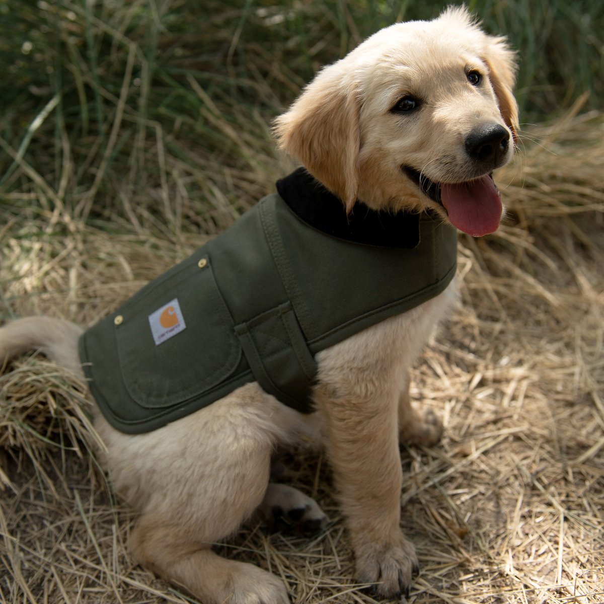 CARHARTT Chore Insulated Dog Coat, Army Green, XLarge