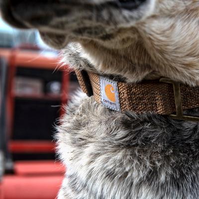 Show full view: Carhartt Tradesman Dog Collar, Brown, Large slide 4 of 8