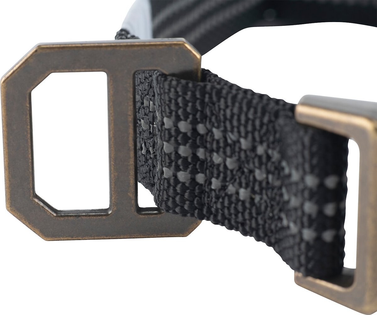 CARHARTT Tradesman Dog Collar, Black, Medium