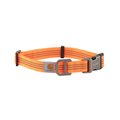 Carhartt Tradesman Dog Collar, Hunter Orange, Medium