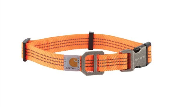 Carhartt Tradesman Dog Collar, Hunter Orange, Large slide 1 of 6