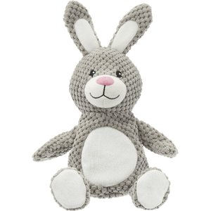 Frisco Textured Plush Squeaking Bunny Dog Toy
