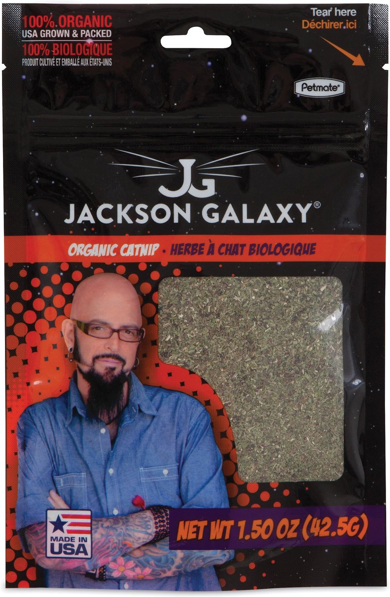 catnip jackson galaxy