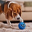 JW PET Treat N Squeak Ball Treat Dispensing Dog Toy, Medium - Chewy.com