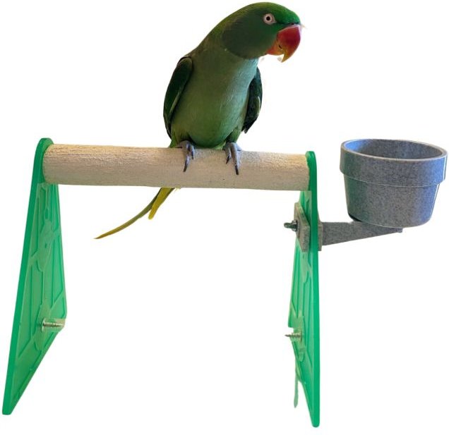 Portable best sale bird stand