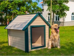 New Age Pet ecoFLEX Bunk Style Dog House, Tan, X-Large