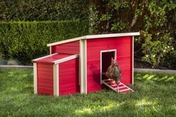 New Age Pet ECOFLEX Fontana Urban Farm Chicken Barn, Red slide 1 of 9