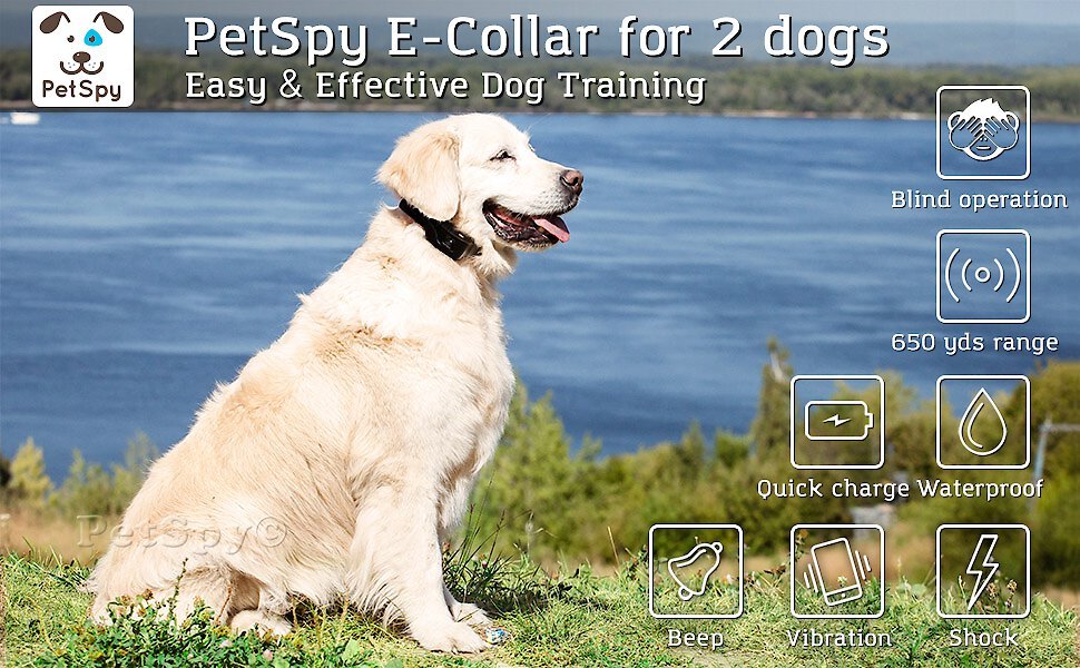 Petspy p620 easy & effective adjustable discount dog training collar