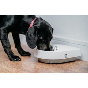 Cat Mate C300 Automatic Dog & Cat Feeder, 3-cup
