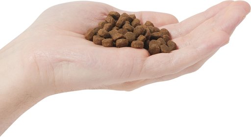 Farmina N&D Ocean Herring & Orange Adult Grain-Free Dry Cat Food, 3.3-lb bag