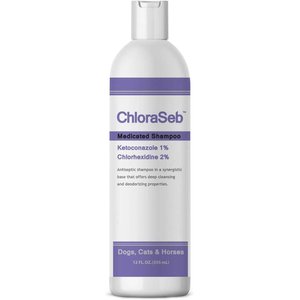 ChloraSeb Antiseptic Dog Shampoo, 12-oz bottle