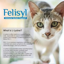 Felisyl Salmon Flavored Gel Immune Supplement for Cats, 5-oz tube slide 2 of 7