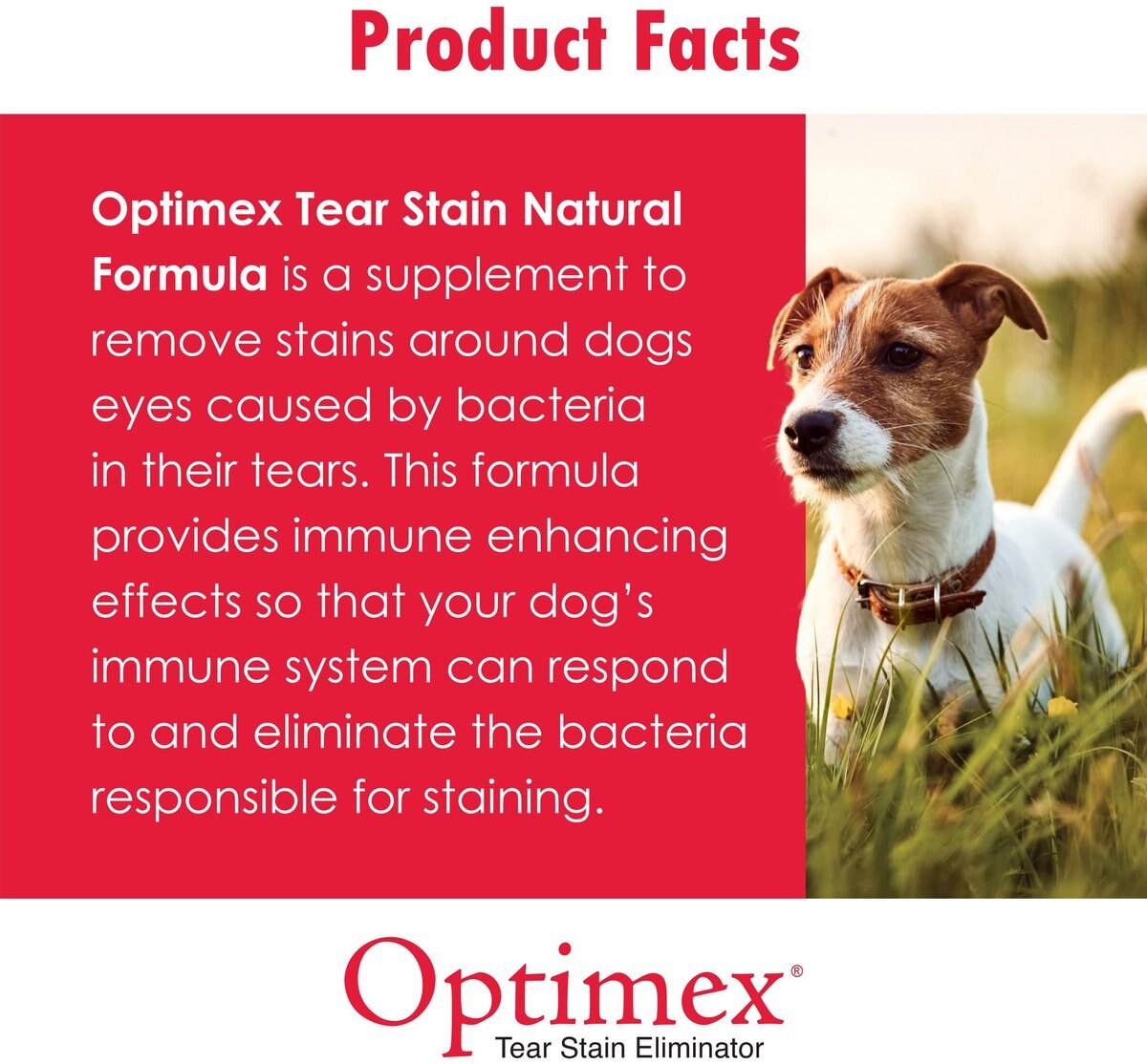 ORACLENS Optimex Tear Stain Dog Supplement, 60 count