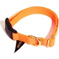 Found My Animal Rescue Orange Project Dog & Cat Collar, Orange, Small