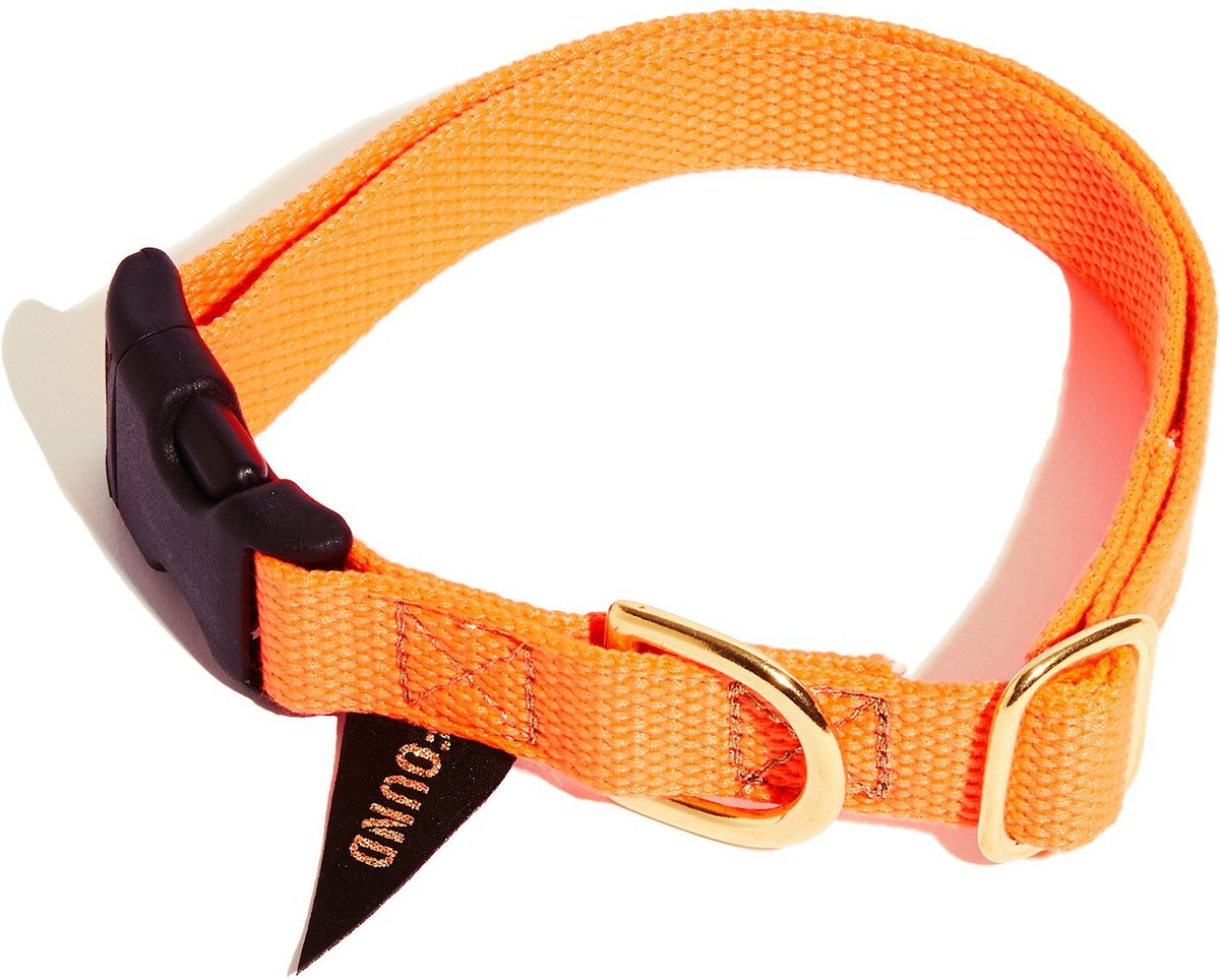 FOUND MY ANIMAL Rescue Orange Project Dog & Cat Collar, Orange, Large ...