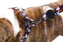 Zooz Pets Snoopy Filmstrip Dog Leash, Black, Large slide 2 of 6