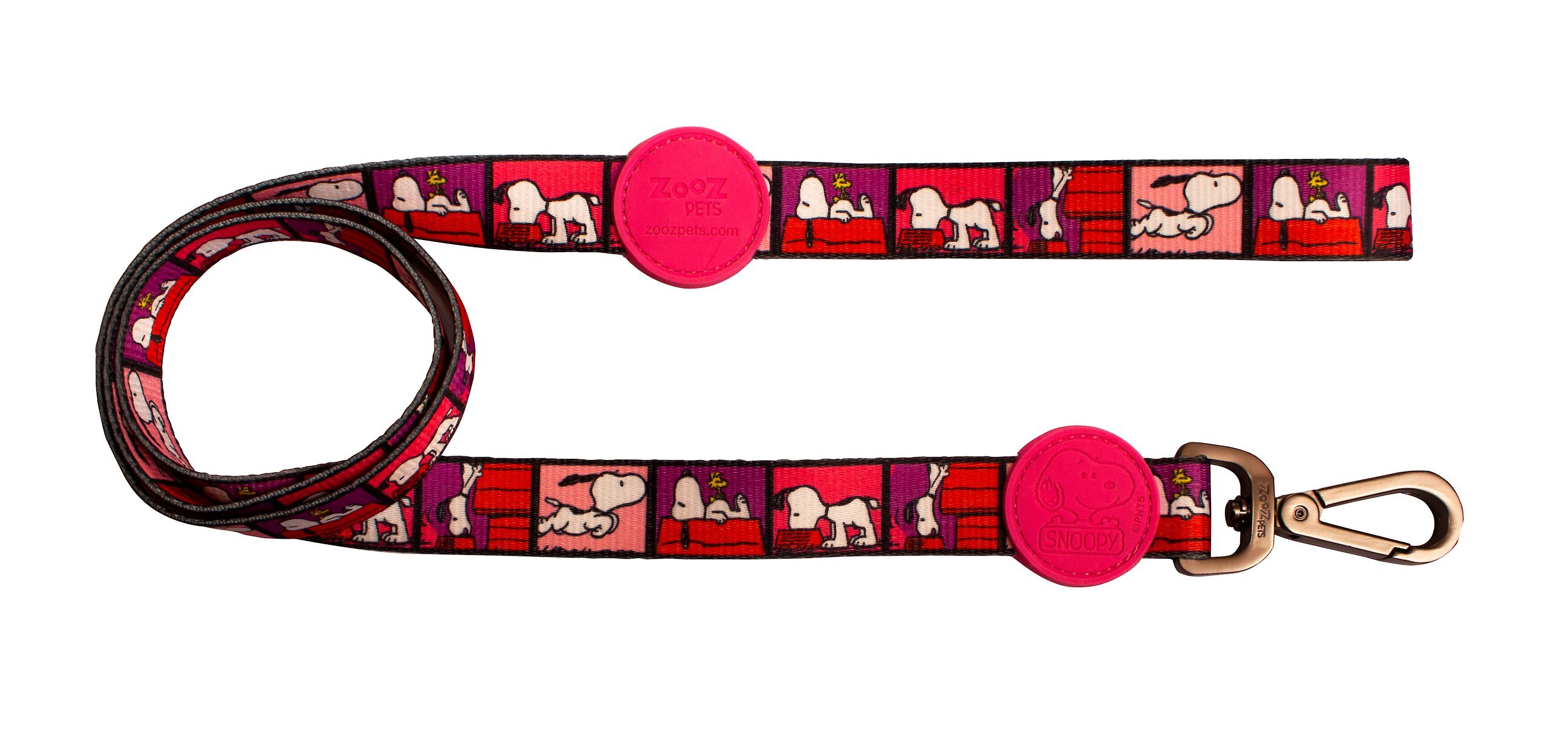 How long is this leash