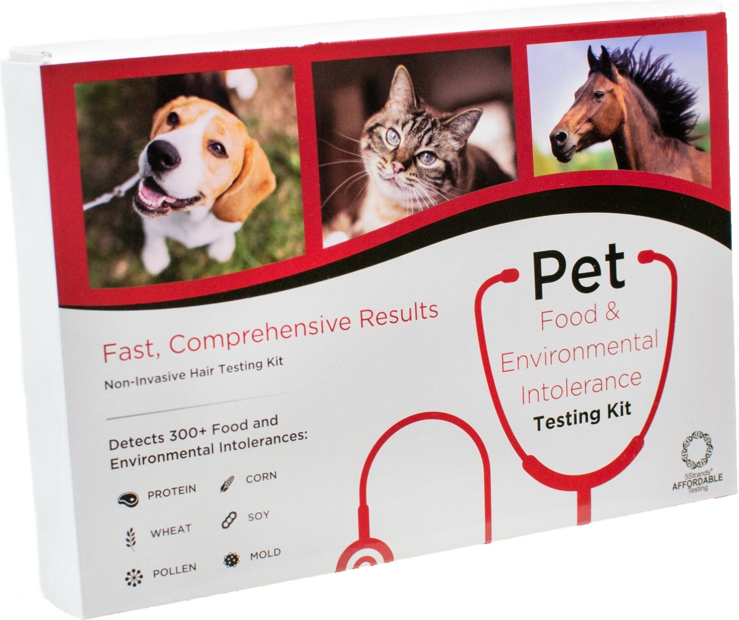 5 strands affordable testing for dogs