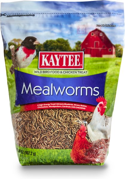 Kaytee Dried Mealworms Wild Bird & Chicken Treat, 32-oz bag slide 1 of 5