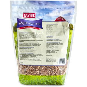 Kaytee Dried Mealworms Wild Bird & Chicken Treat, 32-oz bag