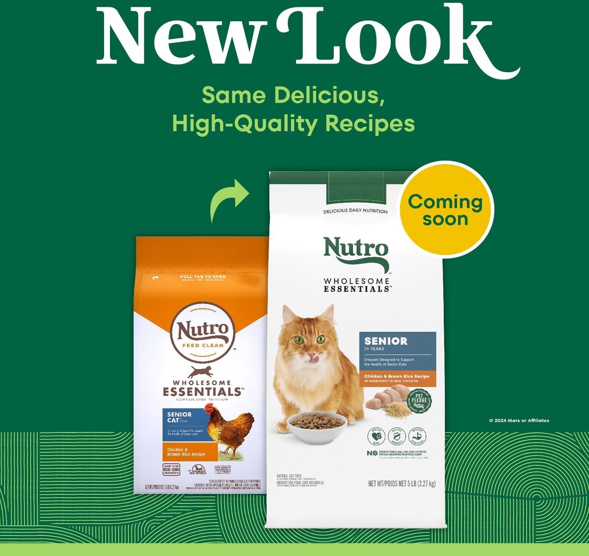 Nutro cat best sale food senior