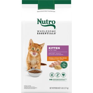 Nutro Wholesome Essentials Indoor Chicken and Brown Rice Recipe Adult Dry Cat Food 14 lbs