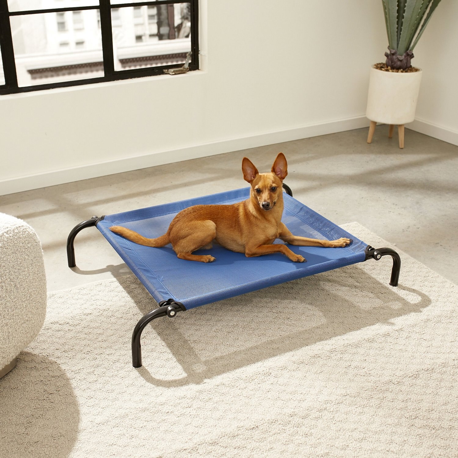 FurHaven Reinforced Elevated Dog Bed