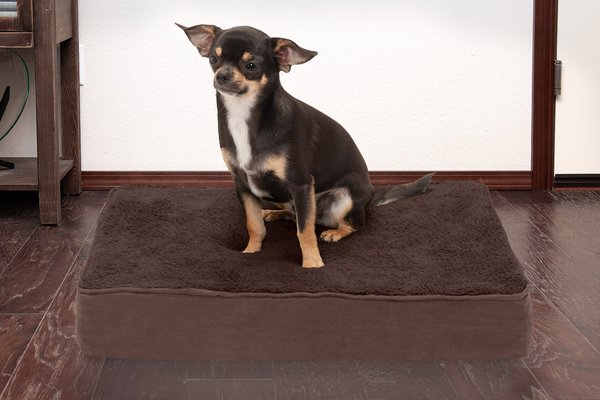 FurHaven Terry Deluxe Memory Foam Pillow Cat & Dog Bed w/Removable Cover, Espresso, Small slide 1 of 8