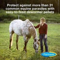 Farnam PyrantelCare Daily Dewormer Anthelmintic Horse Dewormer Supplement, 10-lb tub slide 2 of 9