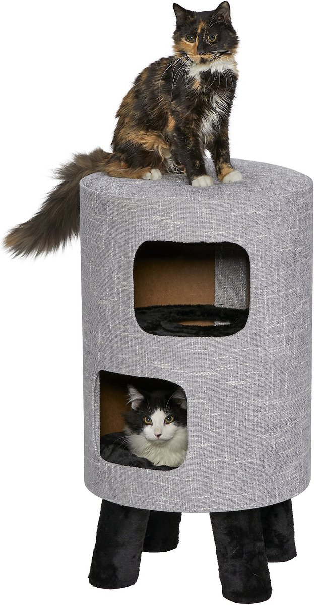 Cat condo 2 store story