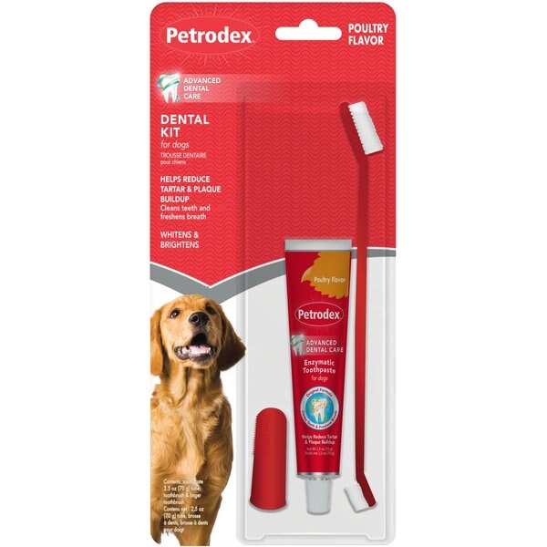 NYLABONE Advanced Oral Care Natural Peanut Flavor Dog Dental Kit