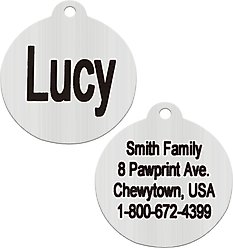 Frisco Brushed Stainless Steel Tag, Round, Silver, Small