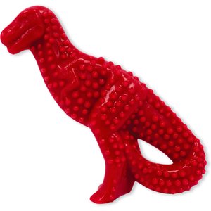 Nylabone Dental Chew Dinosaur Power Beef Flavor Dog Toy