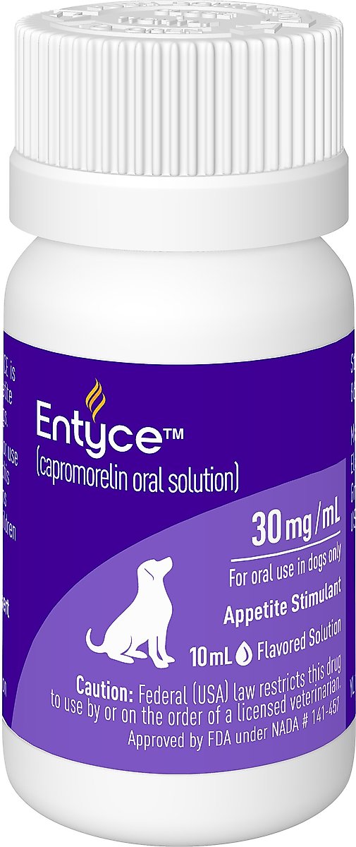 ENTYCE (capromorelin) Oral Solution for Dogs, 10mL