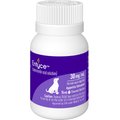 Entyce (capromorelin) Oral Solution for Dogs, 15-mL