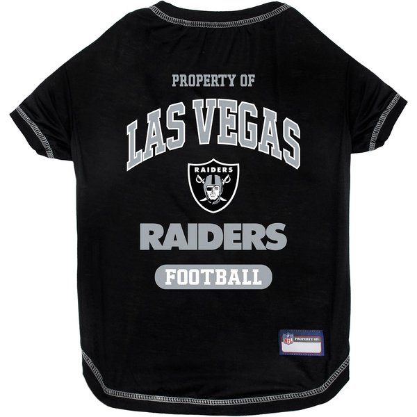 Don't forget your feline: Here's a Raiders jersey suitable for a cat.  (Chewy.com)