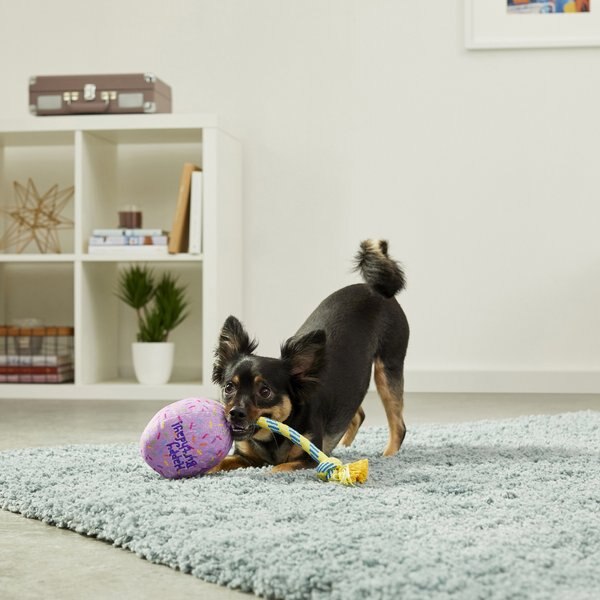 Fetch Pet Products RopeBots Purple Squeaky Rope Dog Toy