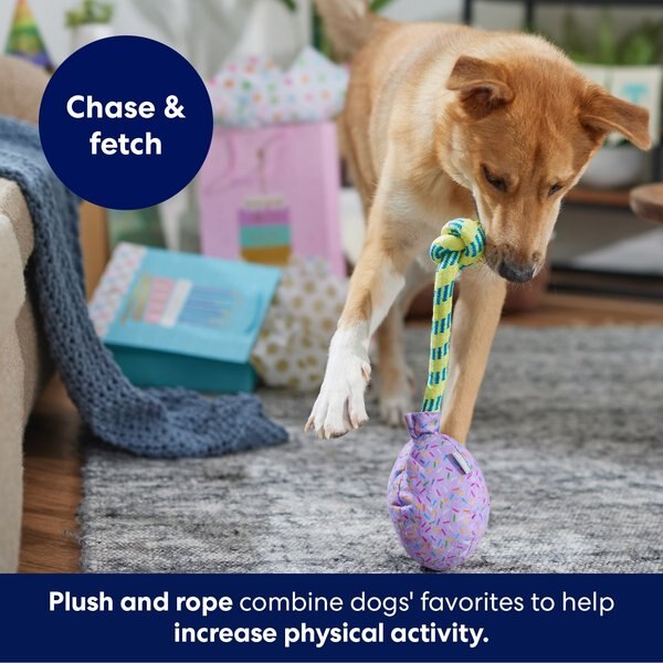 Frisco Birthday Pinata & Candy Plush Squeaky Dog Toy
