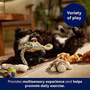 10 Best French Bulldog Puppy Toys 2024: According to Reviews