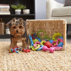 Frisco Just for Puppies Rope & TPR Variety Pack Puppy Toy, 17 pack slide 2 of 2