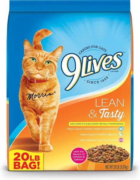 Morris Nine Lives Indoor Cat Food Cat Food Dry 9Lives Indoor