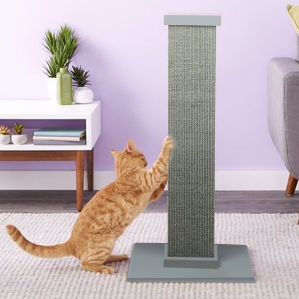 SMARTCAT The Ultimate 32-in Sisal Cat Scratching Post, Gray - Chewy.com