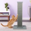 SmartCat The Ultimate 32-in Sisal Cat Scratching Post, Gray
